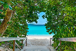 walkway to the beach