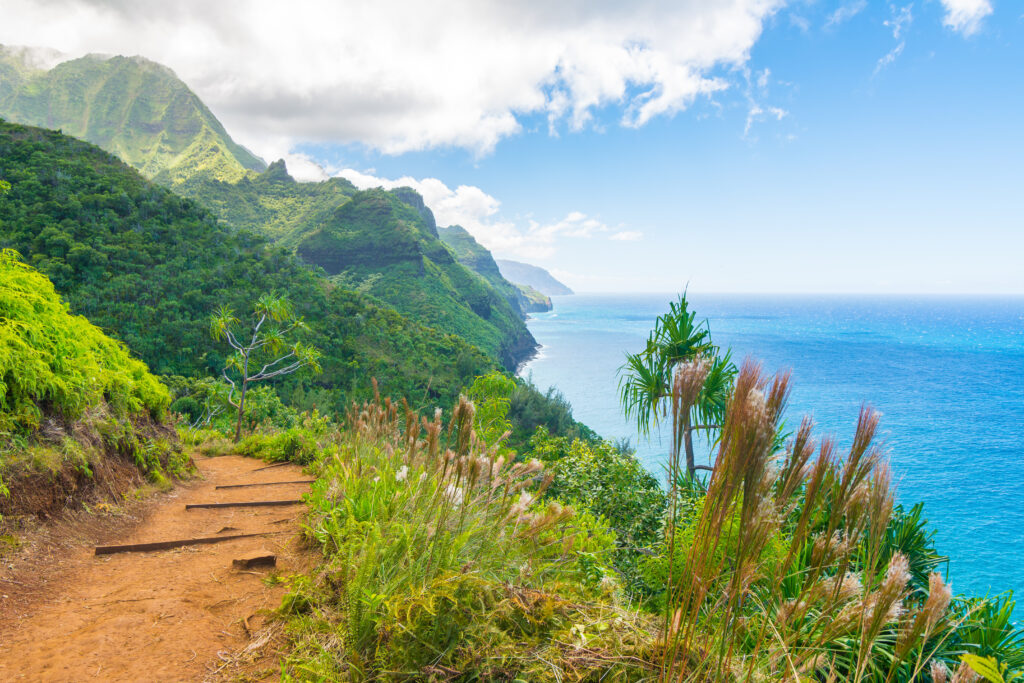 Ocean view in Kauai with dirt path on the side of the mountain and lush greenery and plants