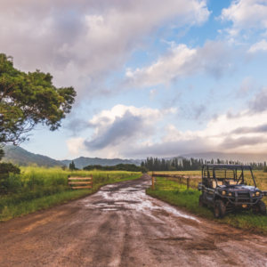 Off the Beaten Path Adventure: ATV Tours