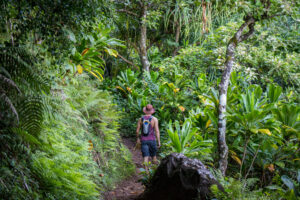 Hiking Trail in Kauai with trees and greenery