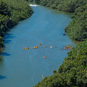 Kayaking on Wailua River, Kauai, Hawaii, USA.