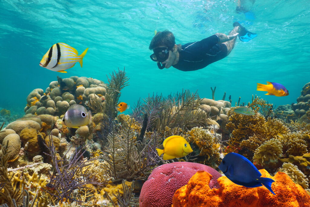 Ocean with colorful coral reef with tropical fish and a man snorkeling underwater