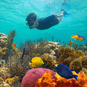 Best Snorkel Spots on Kauai