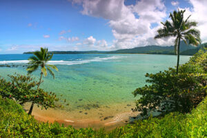Kauai beach with ocean and palm trees