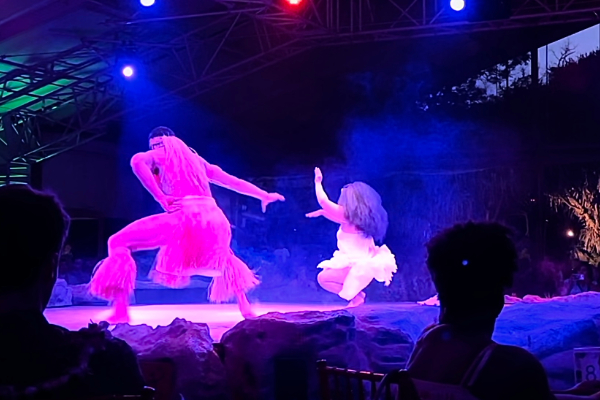 Luau in Kauai male and female dancers on stage
