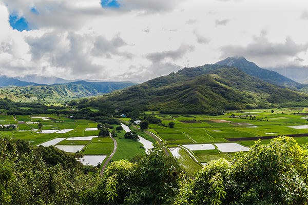 view of Kauai and plantation with mountains in the background