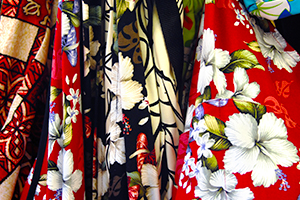 speciality-hawaiian-shop-activity