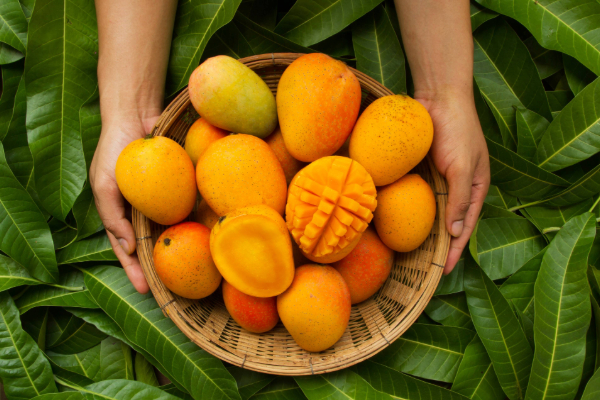 bowl of mangos