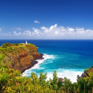 Discover the Natural Beauty of Hanalei National Wildlife Refuge