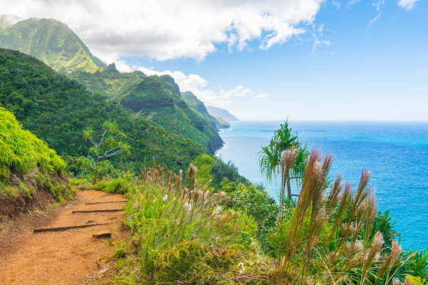 scenic view on the kalalau trail in kauai