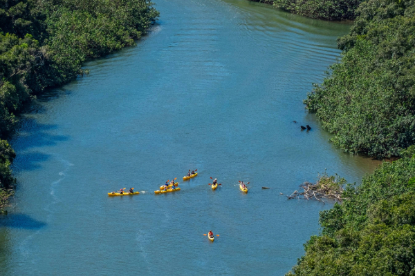 kayakers on the hanalei river