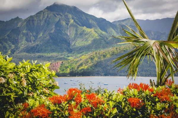 view of hanalei town kauai