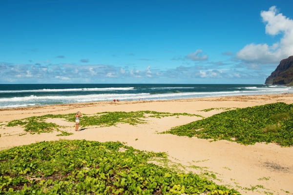 barking sands beach in kauai